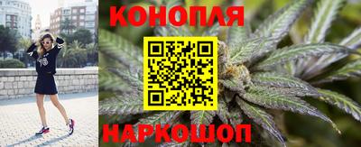 гашик Краснодар