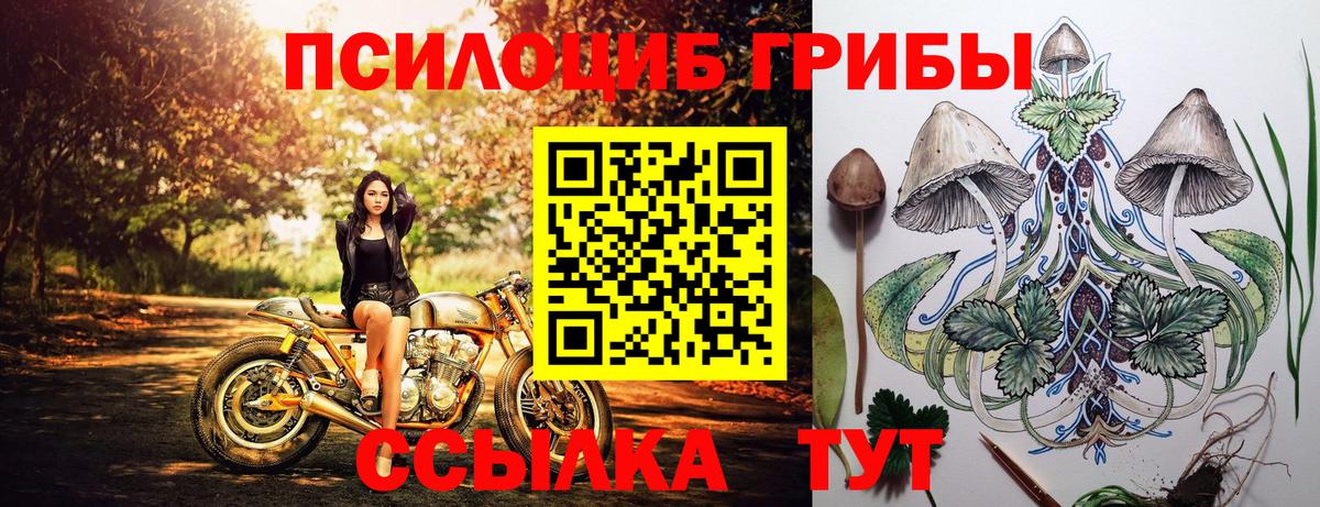 Камышлов  Галлюциногенные грибы MAGIC MUSHROOMS  Вход с VPN 