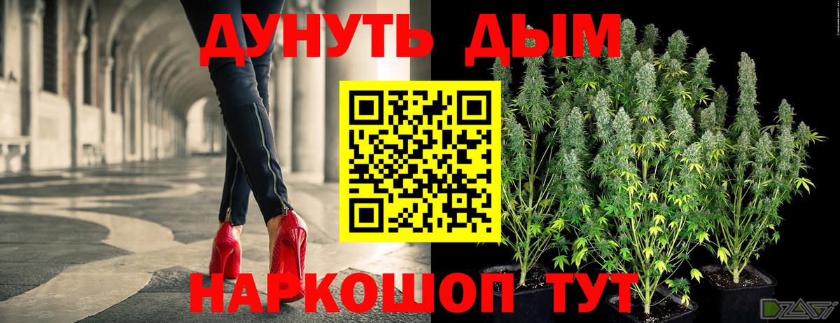 Бошки марихуана VHQ  Вход с VPN  Камышлов  Бошки Шишки планчик  Канабис White Widow 